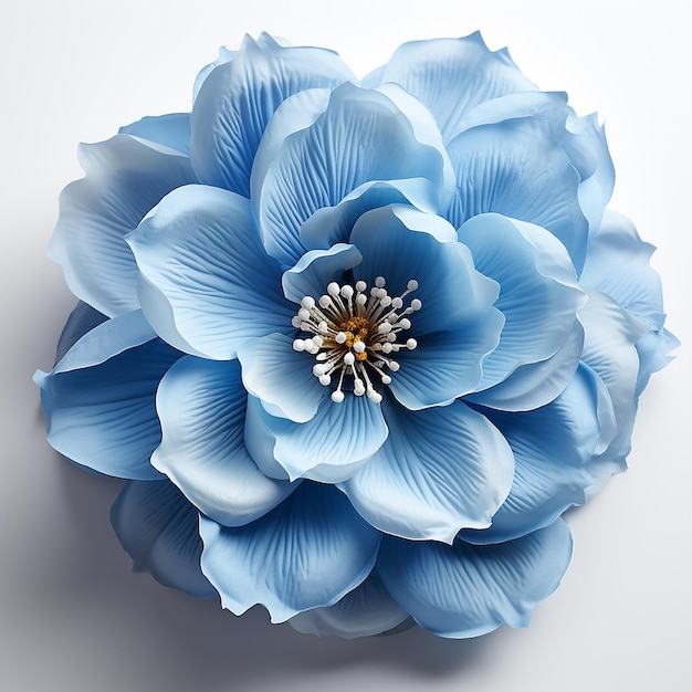 Serenidad en lo alto Flor azul aislada en blanco