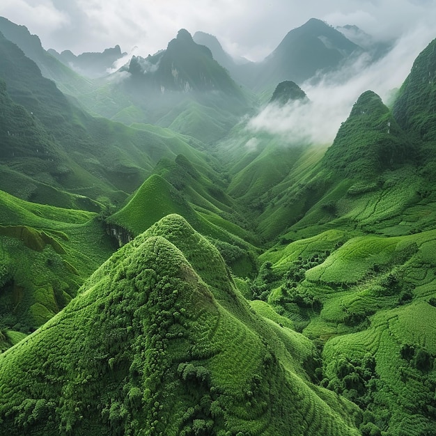 Serenidad de las montañas verdes