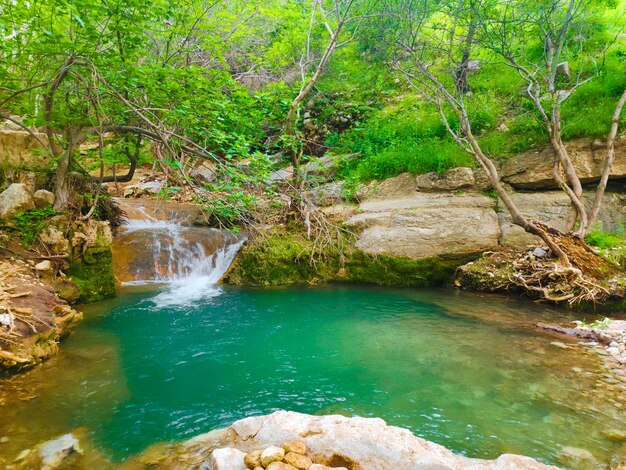 Serenidade cativante Descubra a muito bonita cachoeira