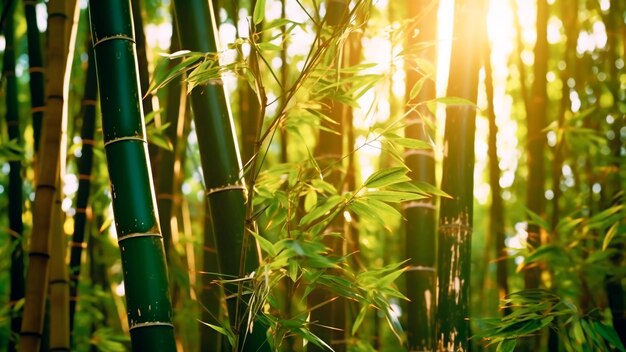 Un sereno bosque de bambú se extiende sin fin con la belleza de la luz solar AI generativa