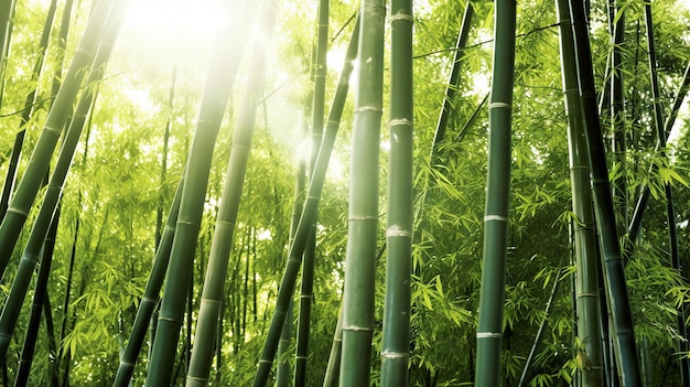 Un sereno bosque de bambú con rayos de sol que brillan a través de la IA generativa
