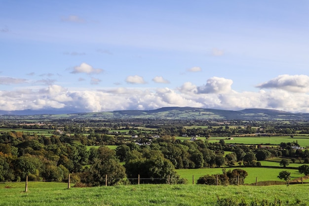 El sereno paisaje natural de los verdes campos de Kilkenny, Irlanda