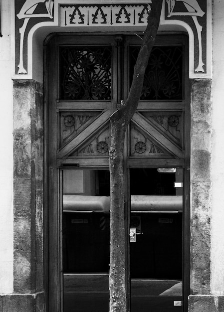 Serie El árbol frente a la puerta.