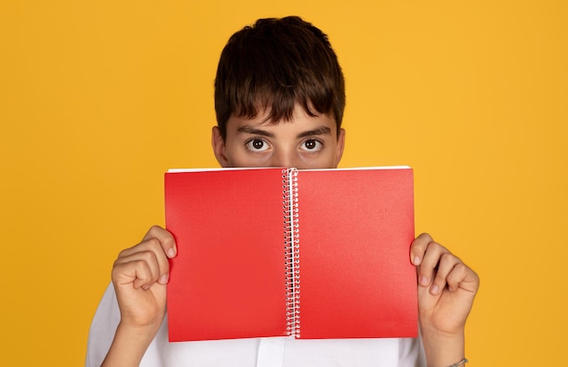 Sério, assustado, triste, adolescente europeu, rapaz esperto, cobre o rosto com um livro, lê um caderno.