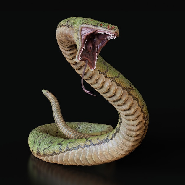 Foto serpiente con una boca abierta ilustración 3d