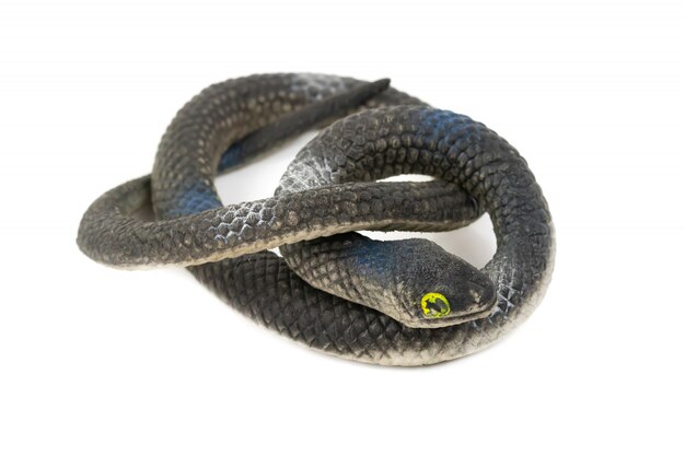 Serpiente de plástico negro para niños aislados sobre fondo blanco.