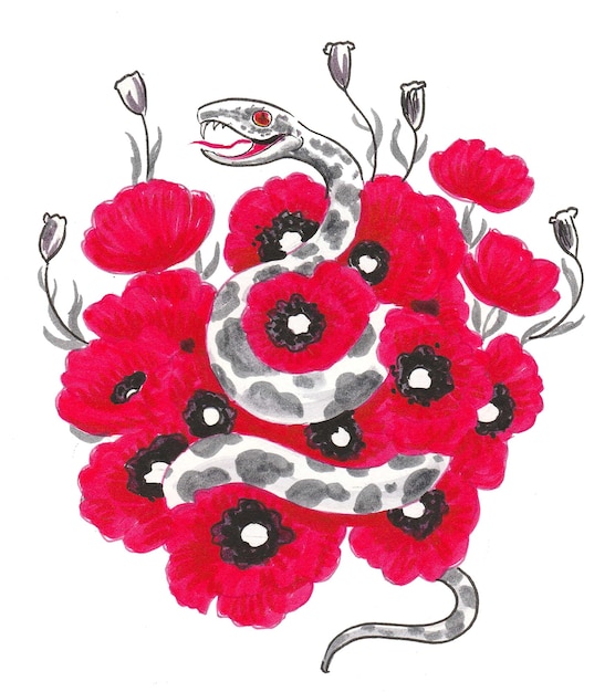 Serpiente venenosa en flores rojas de amapola. Dibujo a tinta y acuarela