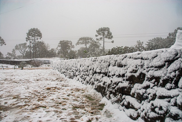 Serra de Santa Catarina, região sul do Brasil, um dos maiores fenômenos de neve já vistos em toda a sua história.