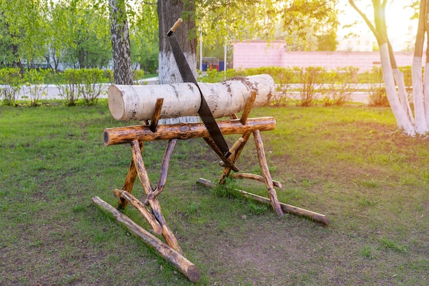 Serra manual para dois em um tronco de bétula