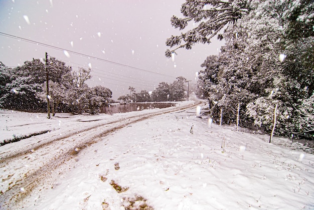 Serra de Santa Catarina, región sur de Brasil, uno de los mayores fenómenos de nieve jamás visto en toda su historia.