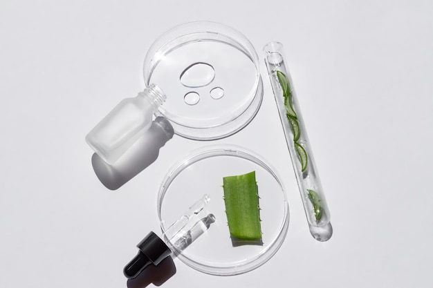 Serum com pipeta em placa de Petri em fundo branco Top view flat lay Dermatologia ciência laboratório cosmético Medicina natural pesquisa cosmética produtos orgânicos de cuidados com a pele com aloe vera