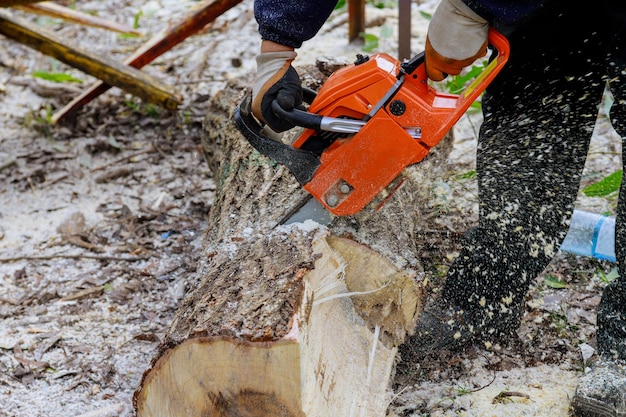 Servicios públicos profesionales de la ciudad cortando un gran árbol en la ciudad después de una tormenta huracán daña árboles una tormenta