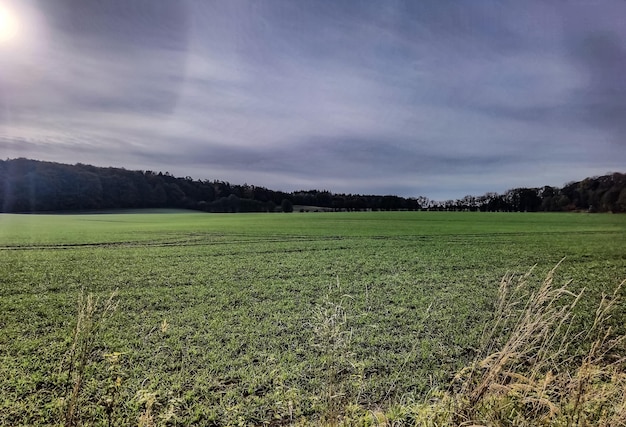 Sesiones de fotos de otoño en el norte de Alemania