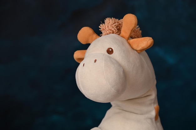 Sessão de fotos de brinquedos infantis com uma girafa como modelo