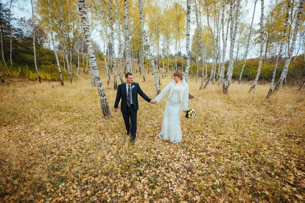 Sessão de fotos de casamento bonito na natureza