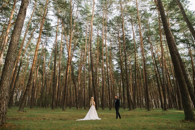 sessão de fotos de casamento de um jovem casal