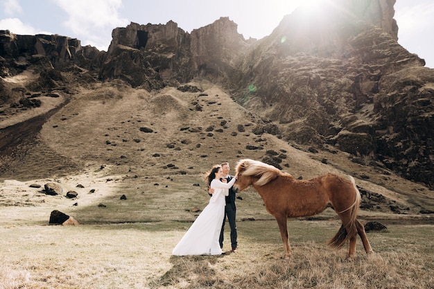 Sessão de fotos do casamento da islândia do destino com papéis de parede épicos dos cavalos islandeses