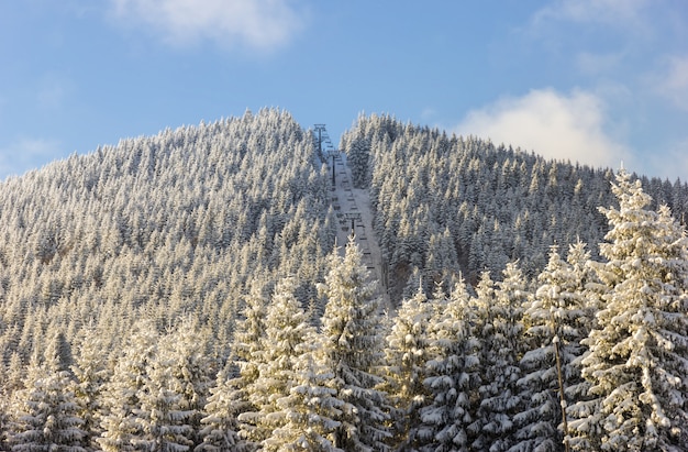 Sessellift für Skifahrer auf dem schneebedeckten Berg bedeckt mit Nadelwald am sonnigen Wintertag