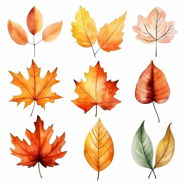 Set de acuarelas de hojas de otoño creado con tecnología de IA generativa
