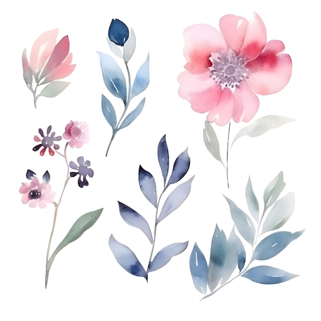 Set de flores aquareladas Elementos florais pintados à mão isolados em fundo branco