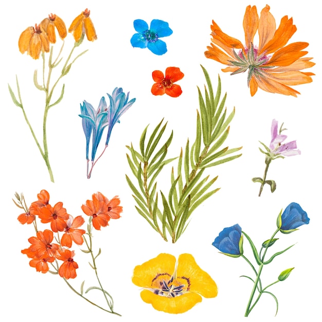 Set de ilustrações de adesivos png de flores de primavera remixadas de obras de arte de domínio público