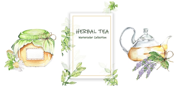 Set de té de hierbas de vidrio hermosa tetera con ramo de menta frasco de miel manzanilla acuarela ilustración para etiquetas envases de productos menús blogs libros de cocina volantes