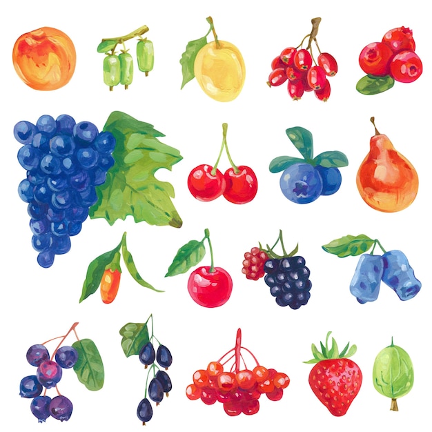 Set von Acrilyc oder Gouache saftigen reifen Beeren auf Weiß