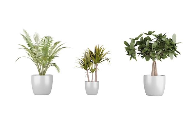 Set von Blumen in einem Topf, isoliert auf weißem D-Render