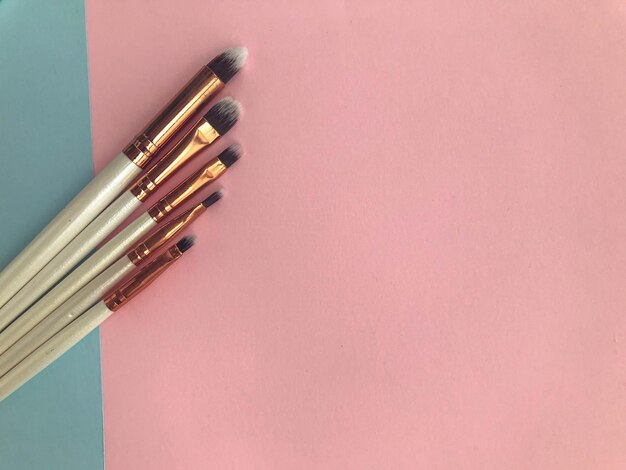 Set von Make-up-Pinseln auf rosa Hintergrund Konzept für professionelle Dienstleistungen im Salon des Schönheitskünstlers Flach