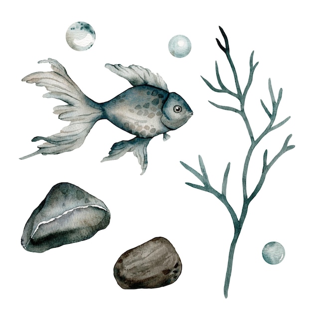 Set von Meerestieren Poster Blau grün braun Aquarell Ozean Stein Fisch Aquarium Algen