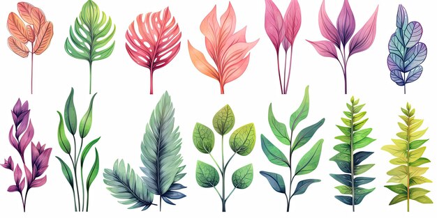 Set von Pflanzenblättern im Aquarell-Stil Pflanzen Dschungel Helle und saftige Blätter