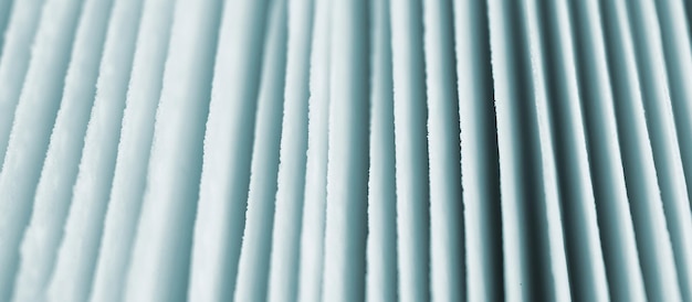 Seta agárico branquias azuladas debajo de la tapa macro foto de primer plano fotografía de profundidad de campo
