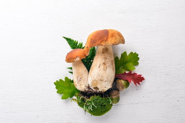 Seta Boletus Setas del bosque sobre un fondo blanco de madera Vista superior Espacio libre para texto