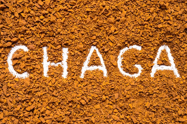 Seta Chaga. Chaga texto escrito a mano en un fondo de un montón de pequeños fragmentos de chaga hongo abedul