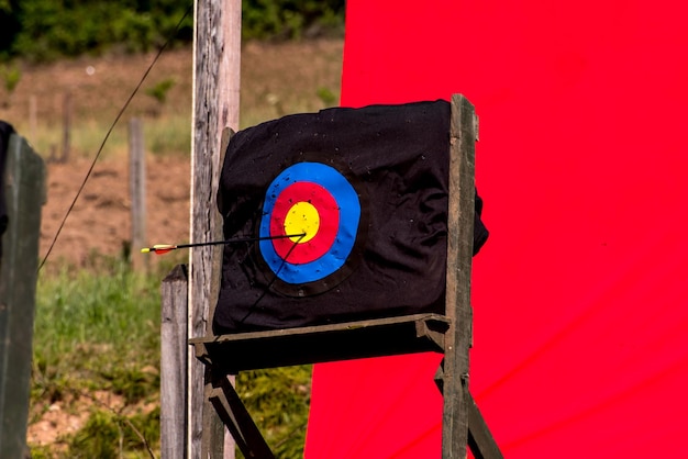 Seta de jogo de arco e flecha presa no alvo