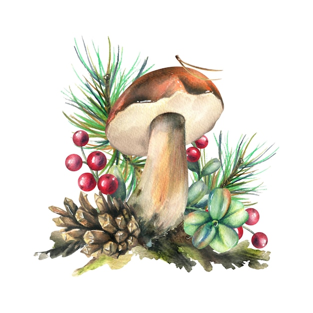 Seta de porcini del bosque con musgo de arándano rojo de alerce y cono ilustración acuarela dibujada a mano Composición aislada sobre un fondo blanco