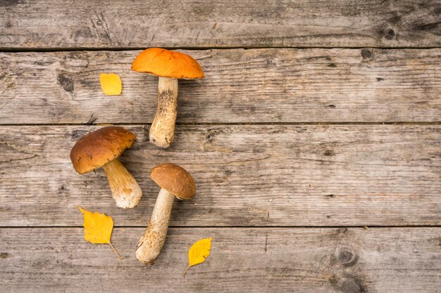 Setas boletus edulis frescas con manojo de spurce y conos en rústica mesa de madera. Foto de alta calidad