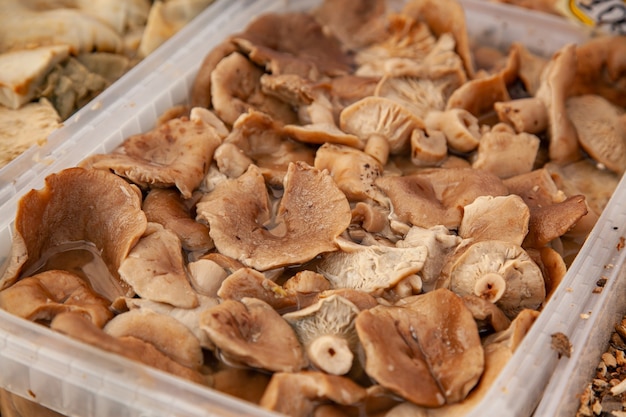 Setas boletus en escabeche Maslyata en un balde de plástico en la feria rural rusa.