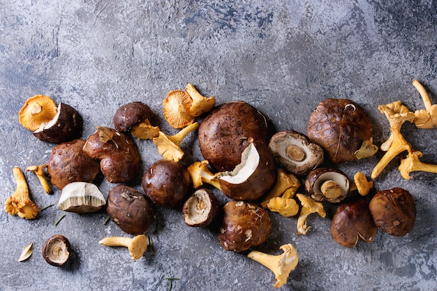 Setas de boletus y rebozuelos.