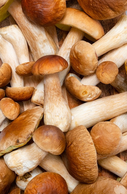 Setas boletus tapa marrón en la mesa de la cocina