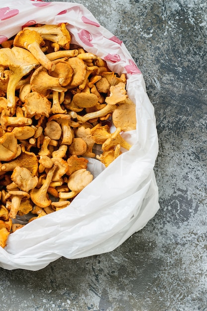 Setas De Bosque Chanterelle