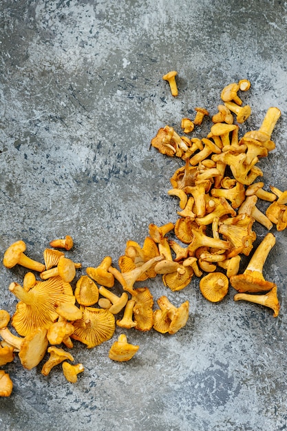 Setas De Bosque Chanterelle