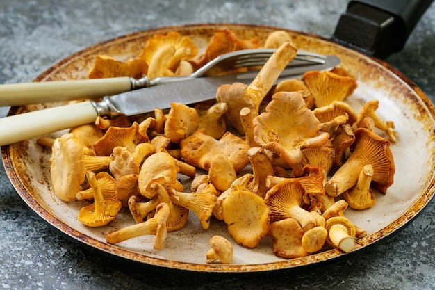 Setas De Bosque Chanterelle