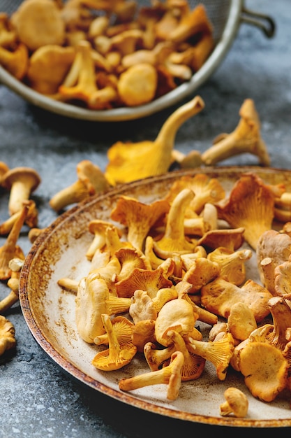 Setas De Bosque Chanterelle