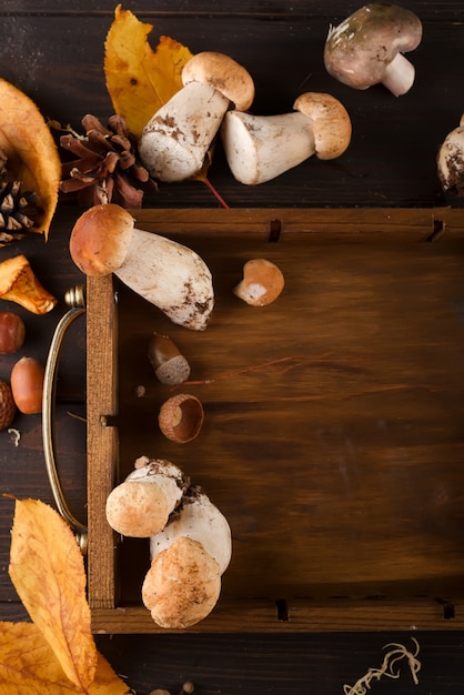 Setas del bosque grandes y pequeñas en caja de madera sobre un fondo oscuro comida vegetariana