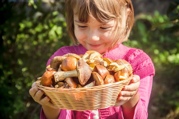 Setas del bosque en las manos de un niño. Enfoque selectivo