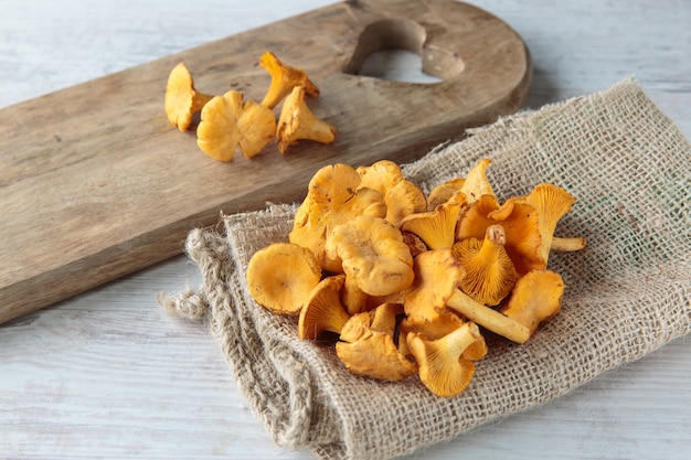 setas cantharellus