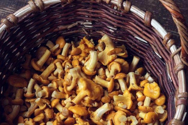 Setas Chanterelle En Una Cesta