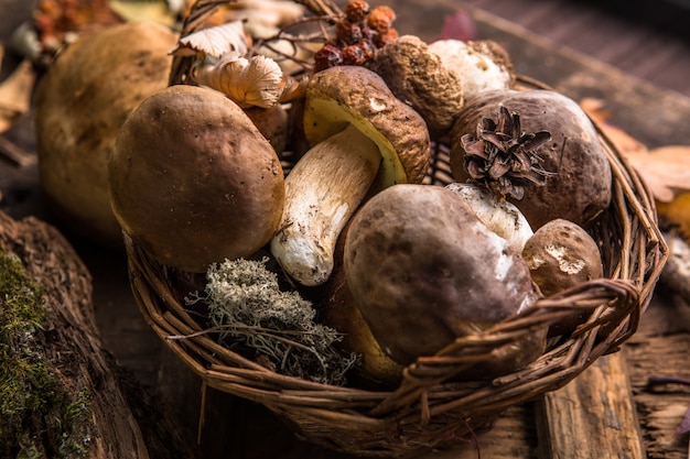 Setas comestibles del bosque de cerca. Ceps boletus edulis sobre fondo de madera, mesa rústica.