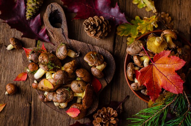 Setas comestibles de otoño. Alimentos orgánicos. Champiñones grasos crudos frescos sobre fondo de madera rústica